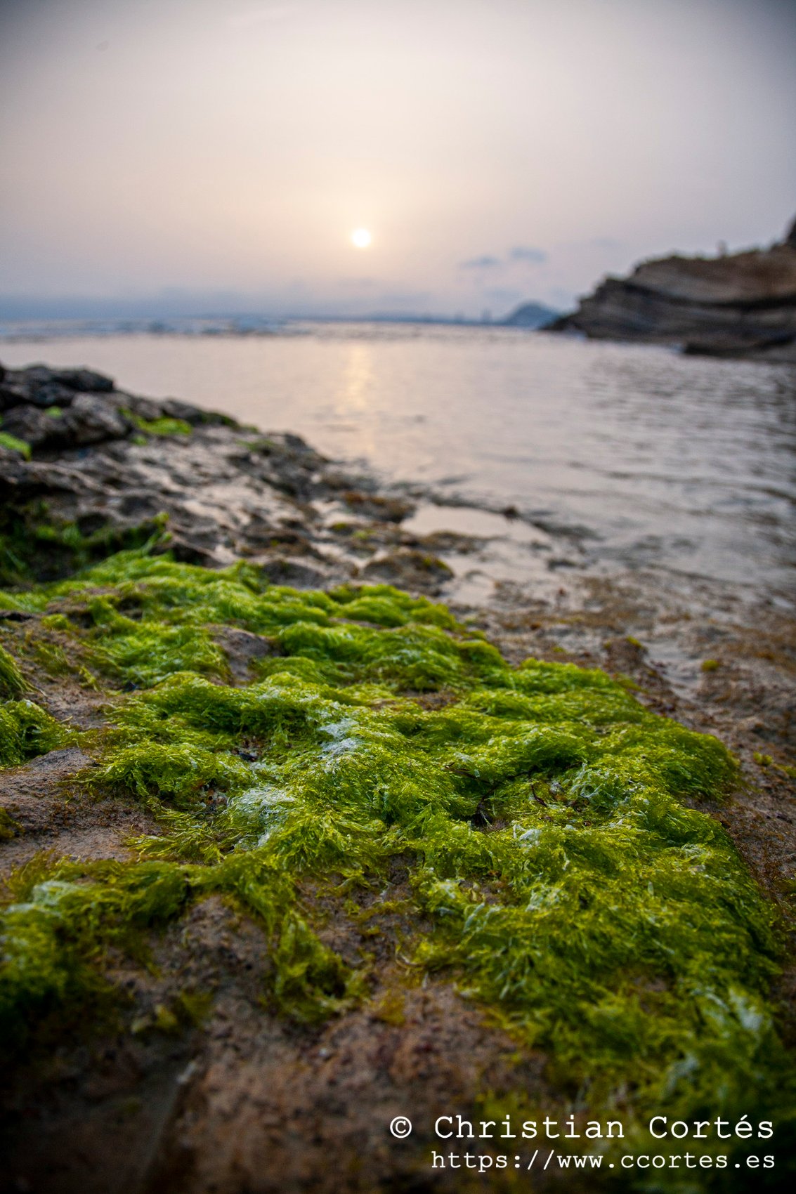 Atardecer Cabo Huertas 27